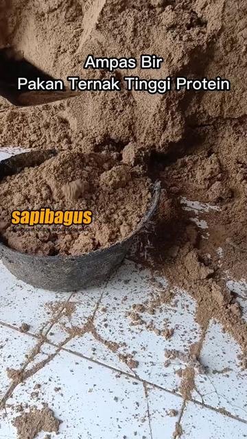 Ampas-Bir-Pakan-Ternak